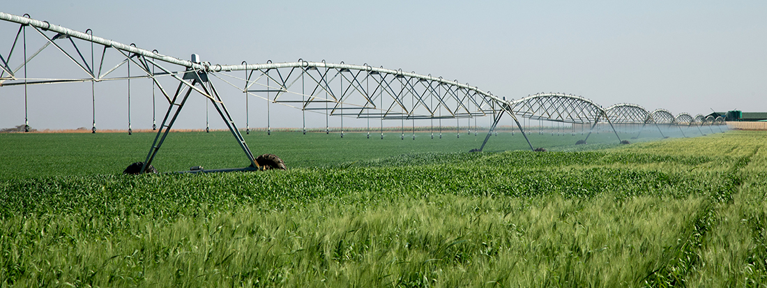 solar center pivot irrigation.jpg