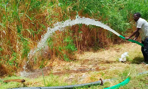 solar water irrigation in Sudan.jpg