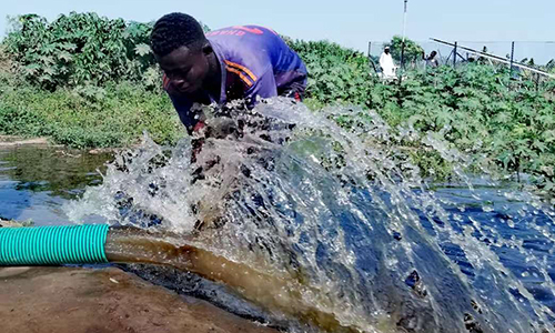 Solar farm water irrigation in Sudan.jpg